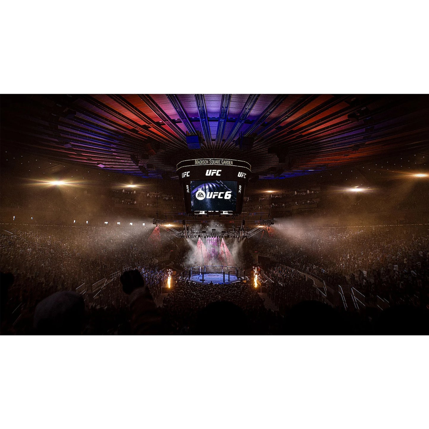 EA SPORTS™ UFC™ 6